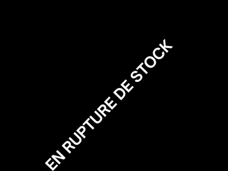 L'Audacieuse immergée 2022