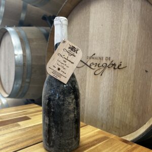 L'Audacieuse immergée 2022