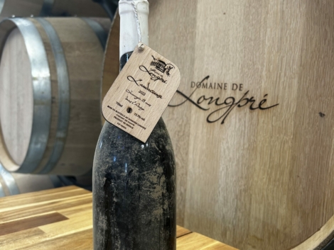 AUDACIEUSE IMMERGÉE 2022