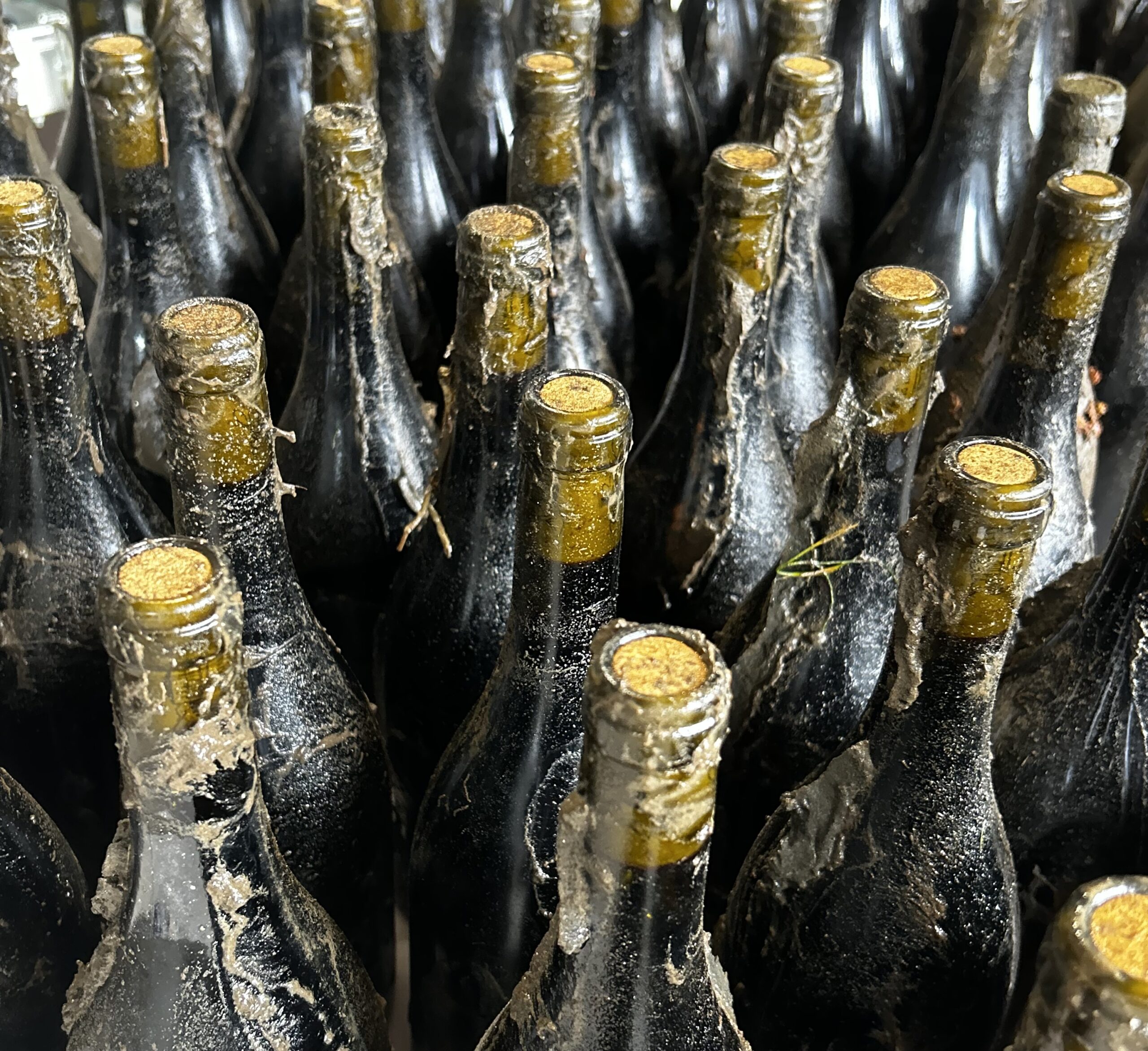 bouteilles immergées